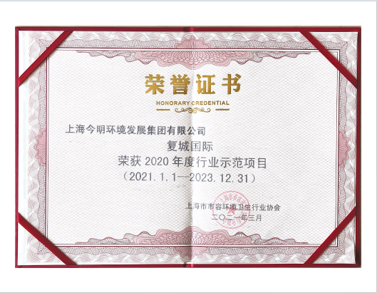 2020 年度行业示范项目